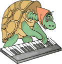 tortuga30.gif